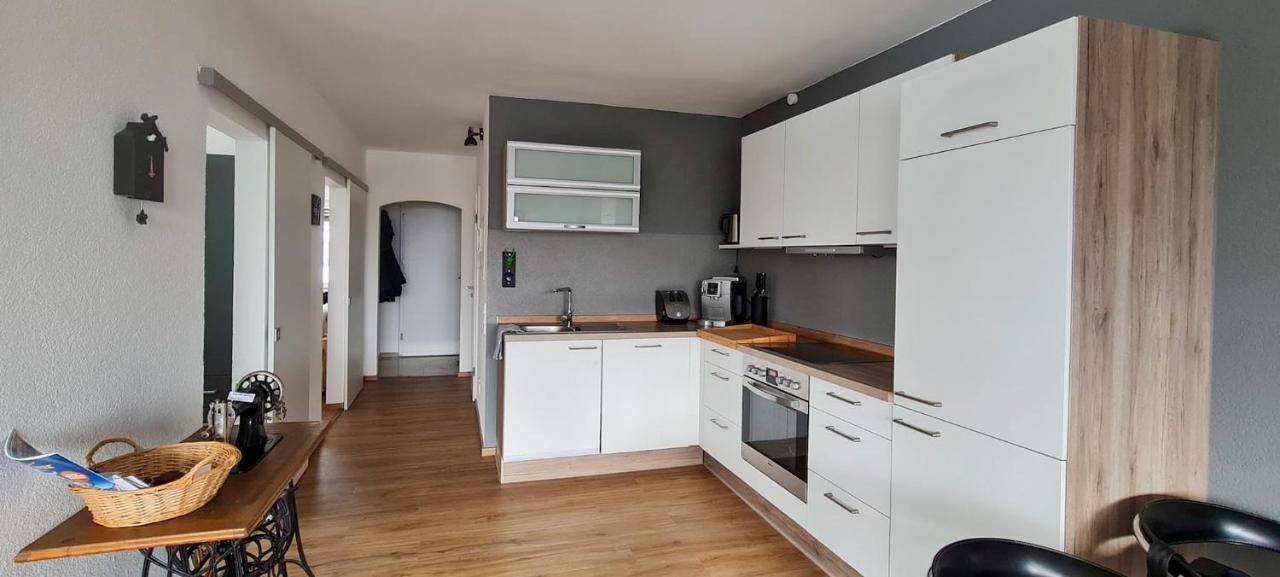 Schwarzwald-Blick Lenzkirch-Saig Apartment Екстериор снимка
