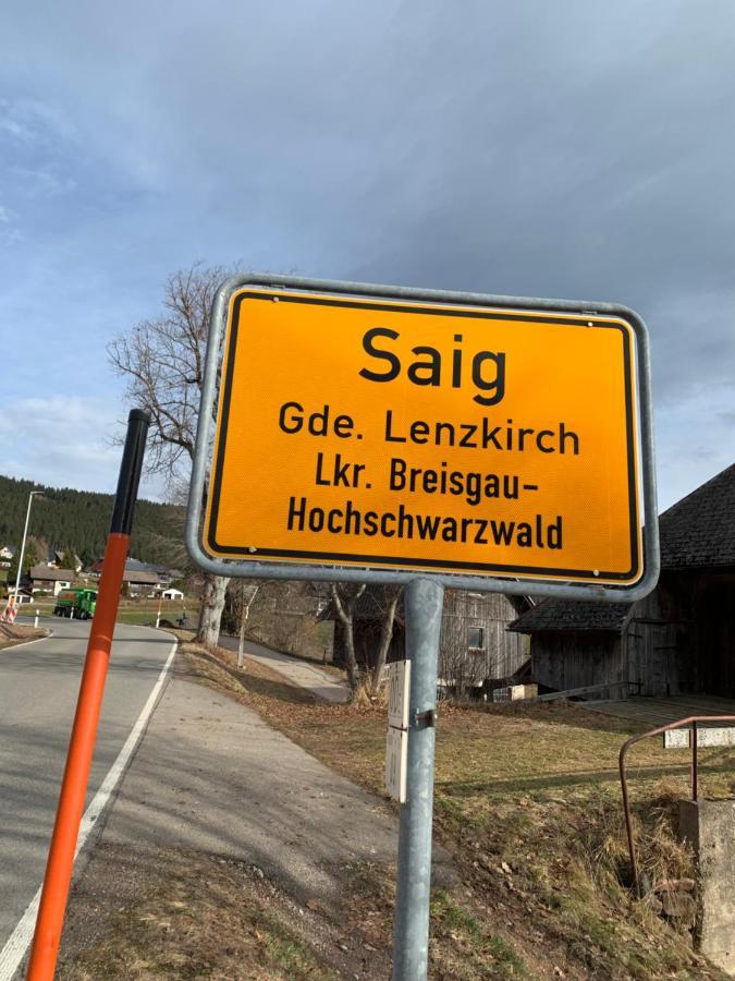 Schwarzwald-Blick Lenzkirch-Saig Apartment Екстериор снимка
