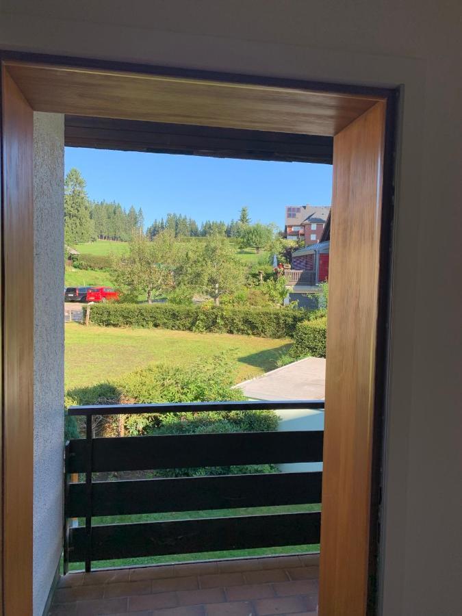 Schwarzwald-Blick Lenzkirch-Saig Apartment Екстериор снимка