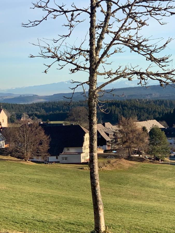Schwarzwald-Blick Lenzkirch-Saig Apartment Екстериор снимка